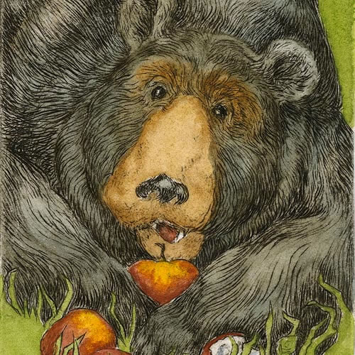 Sivertson Gallery Shop: Bear Necessities