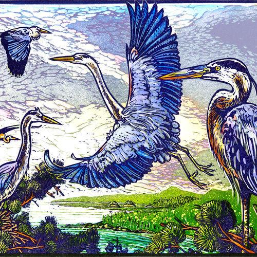 Sivertson Gallery Shop: Blue Heron Rookery, Canada