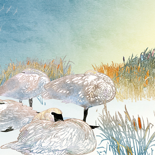 Sivertson Gallery Shop: Dream of the Tundra Swans