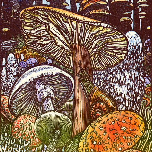 Sivertson Gallery Shop: The Mushrooms Come