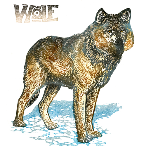 Sivertson Gallery Shop: Wolf