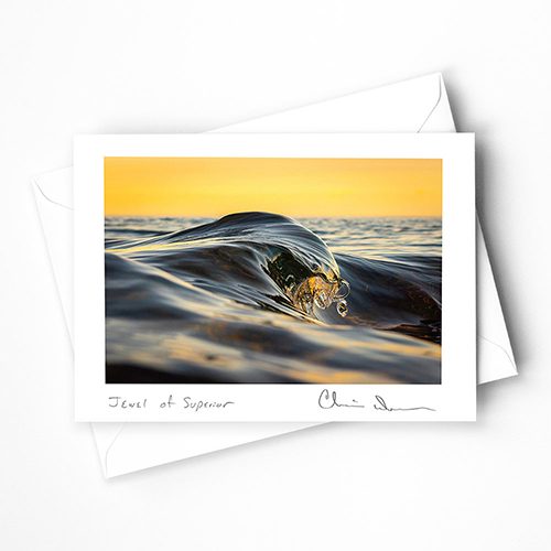 Sivertson Gallery Shop: Superior Waves Boxed Cards