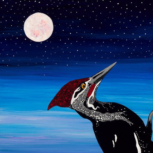 Waatebagaa Giizis / September Pileated Woodpecker